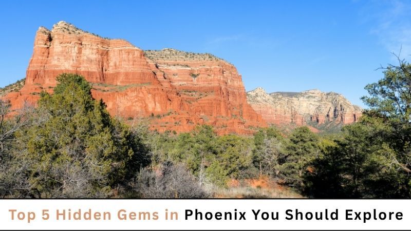 Top 5 Hidden Gems in Phoenix You Should Explore